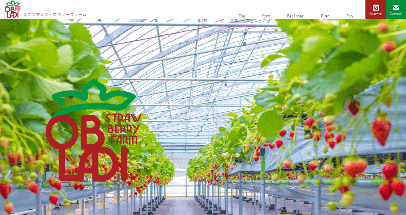 株式会社メディアプライムスタイル Webサイト制作実績 オブラディストロベリーファーム サムネイル画像