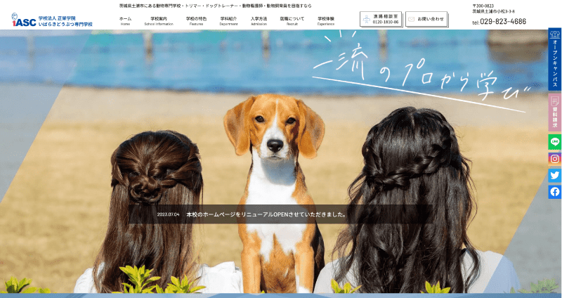 株式会社メディアプライムスタイル Webサイト制作実績 いばらきどうぶつ専門学校 サムネイル画像